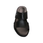 FLORIDA-2177-NOVOCALF - Image 3