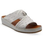 CRUISER-1306-OSTRICH